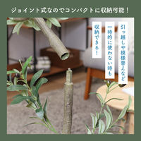 不二貿易 フェイクグリーン オリーブ 180cm ジョイント 41122 1個