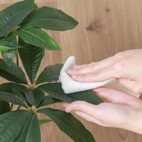 不二貿易 フェイクグリーン パキラ セラミックポット 41128 1個