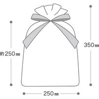 ヘッズ オーガンジーバッグ/シャンパンゴールド-LL OGC-BLL 1組(10枚)