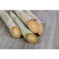 沖縄・奄美のきびオリゴ 800g 2個 ウェルネオシュガー