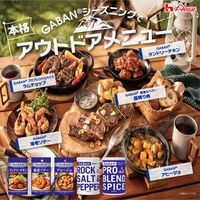 ９０ｇＧＡＢＡＮ　岩塩＆ペパー 2本 ハウス食品