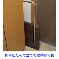 【台車】 YAMAZEN 折りたたみ台車 CARRYお手軽 OTG-E50DB*R 1台