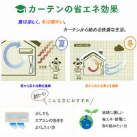 ユニベール ラージュレースホワイト W150xH208 4548654713571 1枚
