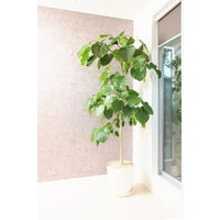 【園芸用品】アップルウェアークラフトポット 40型 ホワイト 26L 400mmΦ×390mm 鉢 ガーデニング