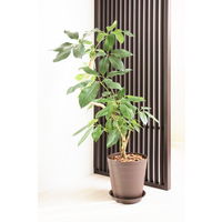 【園芸用品】アップルウェアークラフトポット 40型 ダークブラウン 26L 400mmΦ×390mm 鉢 ガーデニング