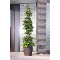 アップルウェアークラフトポット 30型 ダークブラウン 11L 300mmΦx295mm 鉢