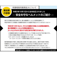 【ヘルメット】 DICプラスチック ABS製ヘルメット AA17 AA17型HA5E-K17式(WH) 1個