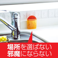 コバエがホイホイ スリム コバエ いなくなる 誘引剤 駆除剤 コバエ取り 置き型 退治 対策 キッチン ゴミ箱 1個 アース製薬