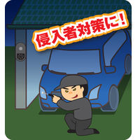 リーベックス 防犯カメラ SD1000 microSD録画式 センサーカメラ センサーライト付 夜間撮影