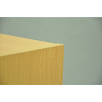 エイ・アイ・エス A4ホームラック ナチュラル 幅600×奥行292×高さ705mm HKHB-10 NA 1台（直送品）