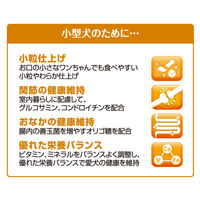 ビタワン君のWソフト 成犬用 ビーフ味やわらかささみ添え 国産 200g（50g×4袋）1袋 ドッグフード セミモイスト
