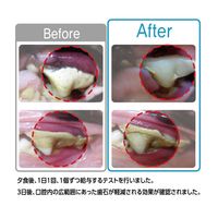 デンティ・スリーフェアリー 犬用 歯みがきガム S 小型犬用 65g（約9個入）1袋 フォーキャンス おやつ