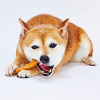 ペティオ ササミ巻き ガム 10本入 1袋 犬用 おやつ