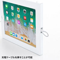 【処分品】サンワサプライ iPad用壁面取付けケース CR-LASTIP26W 1台（直送品）