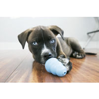 パピーコング S 犬用おもちゃ コングジャパン