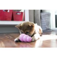 パピーコング S ピンク 犬用おもちゃ コングジャパン