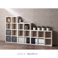 フナモコ FREEDOM（フリーダム）オープンシェルフ4×3タイプ 幅114.7×奥行29.7×高さ151.5cm エリーゼアッシュ RSA-430（直送品）