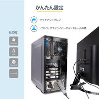 Startech.com DVI - DisplayPort 変換アダプタ USBバスパワー DVI2DP2 1個