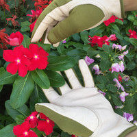 サムソンライナー S AG620 1セット（5双入） エースグローブ（直送品）