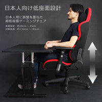 【軒先渡し】Bauhutte （バウヒュッテ） ゲーミングチェア プロシリーズ RS-950RR-BK 1脚（直送品）