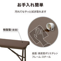 タカショー イージーキャリー ベンチ ラタン調 ブラウン ECF-B01BR 1個