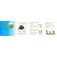 萩原 上敷 白馬（はくば） 本間 4帖 1枚（直送品）