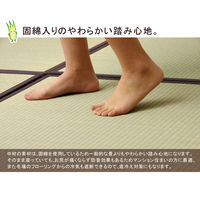イケヒコ・コーポレーション あぐら 半畳 NT 約82×82cm 1110230000000 1組(2枚)
