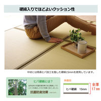 イケヒコ・コーポレーション スカッシュ GN 約82×82×1.7cm 1110460000000 1セット(4枚入)