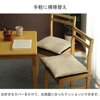 イケヒコ・コーポレーション ヌード 45角シート IV 約45×45cm 1210660000000 1組(2個)