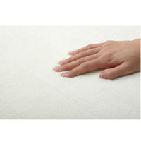 イケヒコ ラグ 1.5畳 無地 フランネル 『フランアイズ』 アイボリー 約1300×1850mm 1枚（直送品）