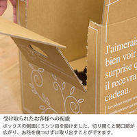 ヘッズ アジャストデリバリーカートン-2 D-AJ2 1パック(20枚)