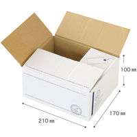 【60サイズ】ヘッズ スタンプ宅配BOX-4 外寸：W210×D170×H100mm STA-CT4 1セット（1袋（10枚入）×5）