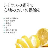 エコストア バスルームクリーナーN シトラスの香り 500ml 1個 エコストアジャパン