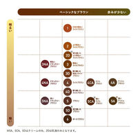 ホーユー ビゲン 香りのヘアカラークリーム5A 深いアッシュBR 730135 1ケース(27個入)（直送品）