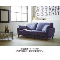 【車上渡し】RELAX FORM コロンバス オットマン バイオレットブルー 1脚（直送品）