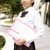 ビバリー 書けるクリアファイル フリー ピンク CF-035A 1セット（10枚セット）（直送品）