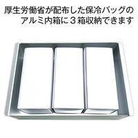 金鵄製作所 カミコンバイアルケース 緩衝ウレタン付き 2410 100組 91032-000 1箱(100組入)【バイアルホルダー ワクチン輸送 箱】（直送品）