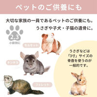フィットポスト カメオピンク4寸 4941206460990 1個（直送品）