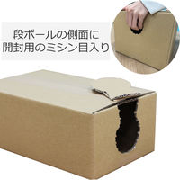ロジマート ダンボール 80サイズ 350*250*190 40枚 開封穴有り 51z220an-40 1セット（直送品）
