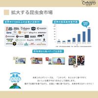 MNH 未来コオロギスナック2 醤油ラーメン味 mnh-2-20 1セット(20袋入)（直送品）