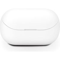 PGA Bluetooth(R) 5.0搭載 片耳ワイヤレスイヤホン 充電ケース付 ホワイト PG-BTE13BC2WH 1個