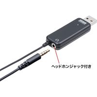 サンワサプライ 高性能USBピンマイク MM-MCU12BK 1個