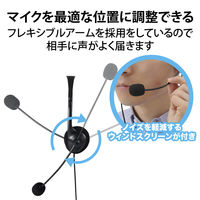 ヘッドセット 有線 USB接続 Type-C変換付き 両耳 オーバーヘッド ブラック HS-HP22UCBK エレコム 1個（直送品）