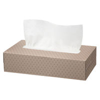 ティッシュペーパー 200組 （5箱入） オリジナルティッシュ モカ 5カラー 1パック（5箱入） アスクル  オリジナル（わけあり品）