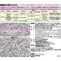 住友化学園芸 草退治メガロングFL 250ml 2056937 1本（直送品）