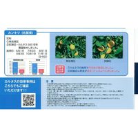 生科研 カルタス 10kg 2057141 1箱（直送品）