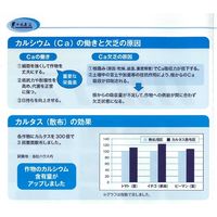 生科研 カルタス 1kg 2057142 1個（直送品）