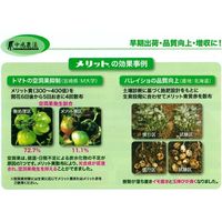 生科研 メリット黄 6kg 2057152 1個（直送品）