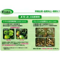 生科研 メリット赤 20kg 2057157 1箱（直送品）