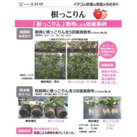 生科研 根っこりん 20kg 2057160 1箱（直送品）